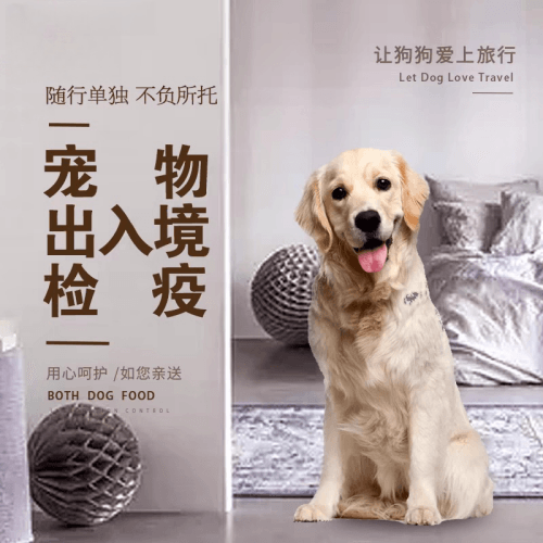 思茅市宠物托运到哥伦比亚猫狗宠物入境规定和