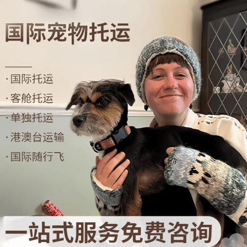 思茅市国际宠物托运到阿根廷宠物入境规定和要