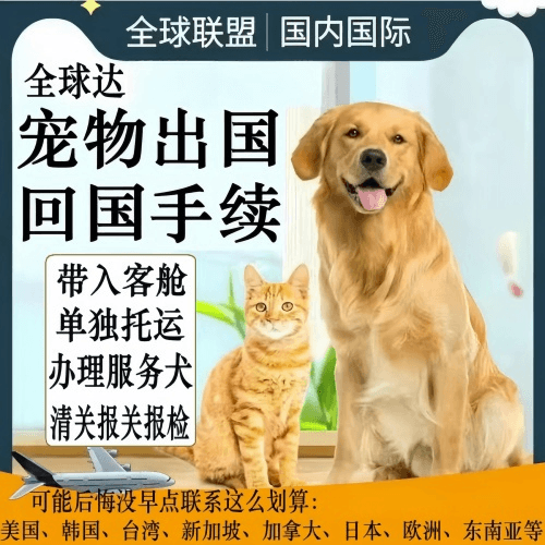 思茅市宠物托运到柬埔寨宠物入境规定和要求