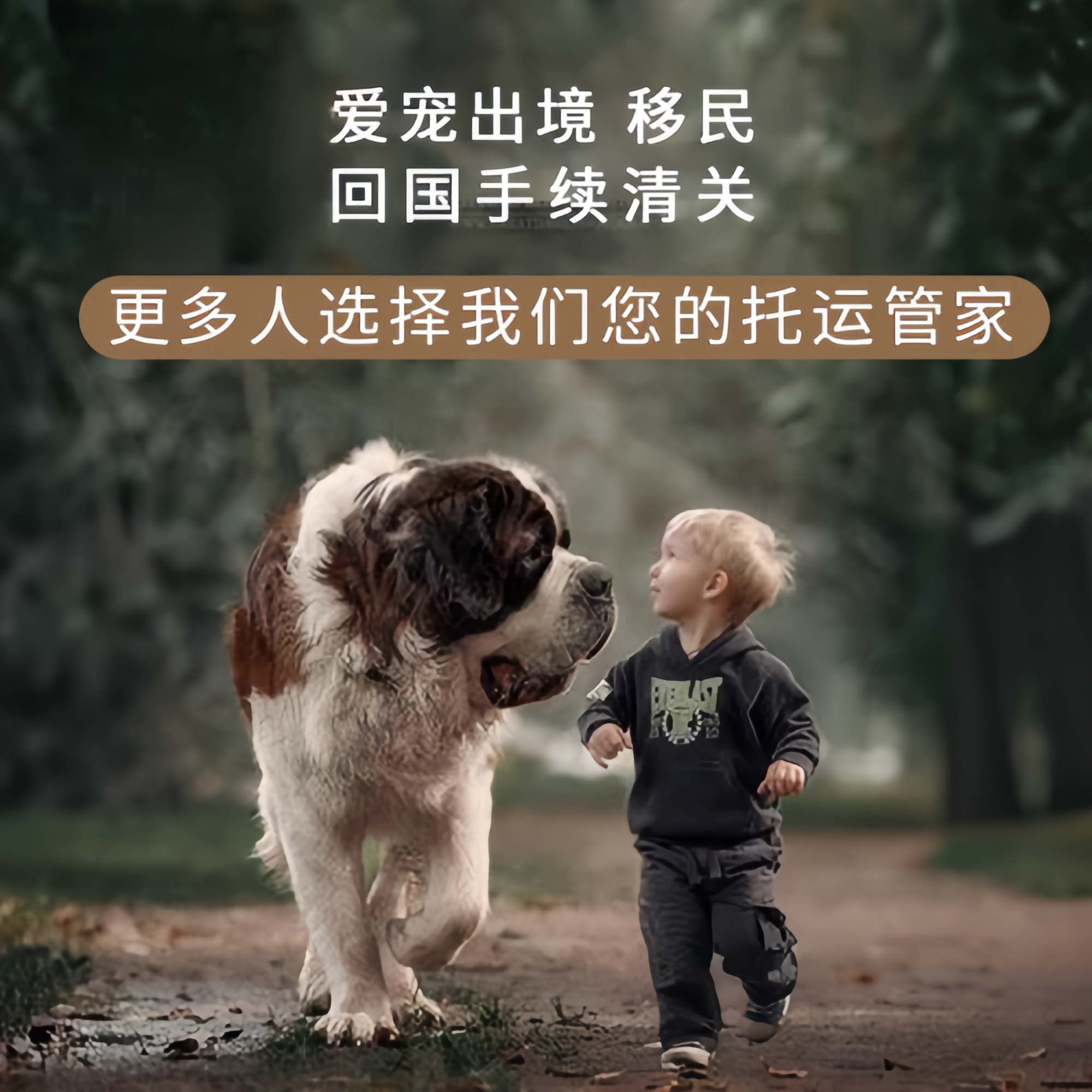 满财思茅市宠物全球达宠物托运在遵守入境目的地政策的条件