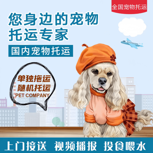 满财思茅市宠物全球达宠物托运作为专业的宠物运输代理机构